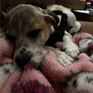 Meet your Posher, Hacker